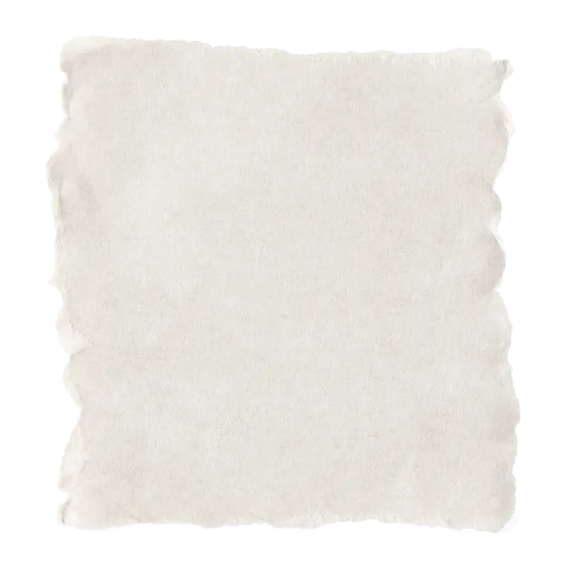 image-from-rawpixel-id-9072939-png