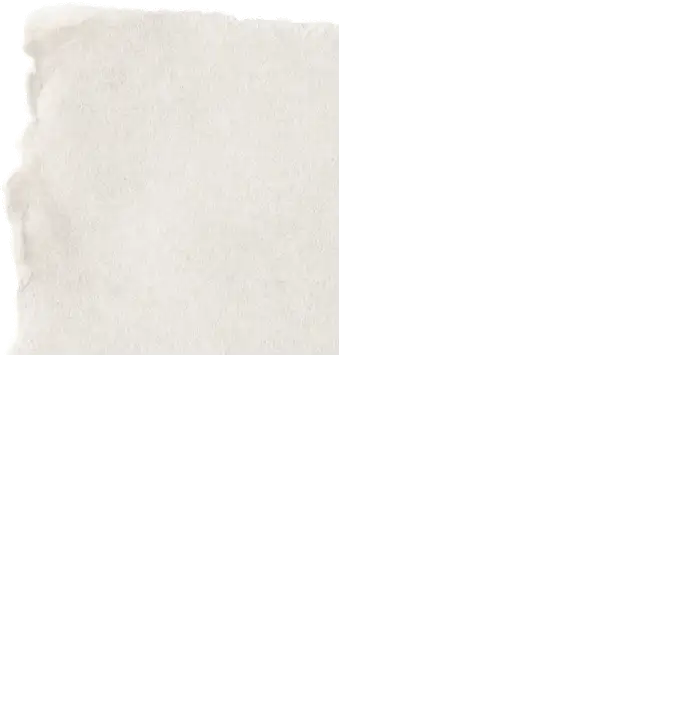 paperbg_0000_Top-Left