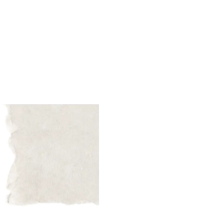 paperbg_0001_Bottom-Left