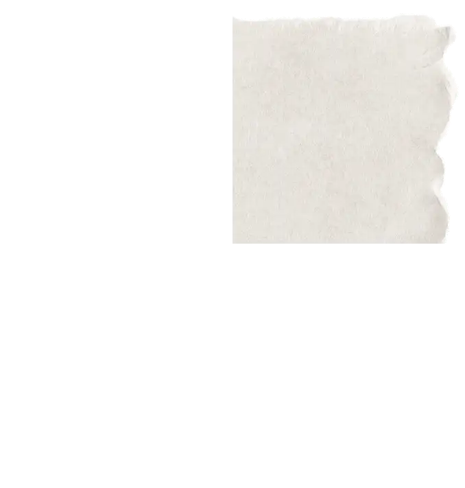 paperbg_0002_Top-Right