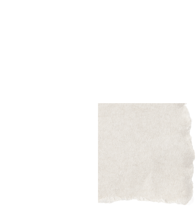 paperbg_0003_Bottom-Right