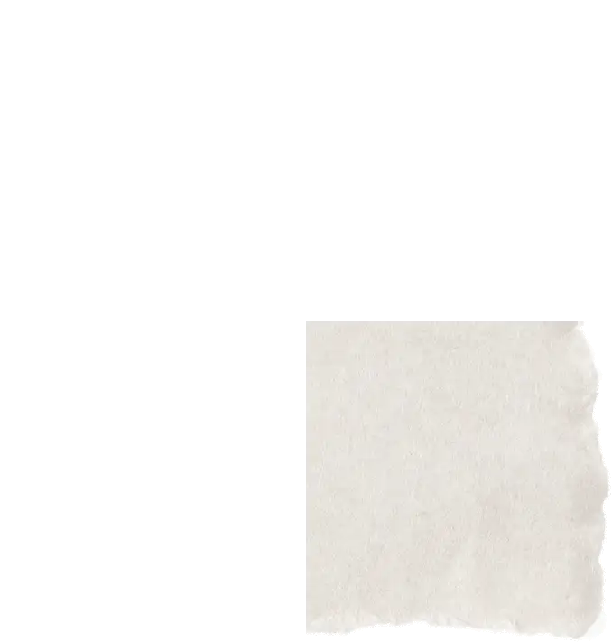 paperbg_0003_Bottom-Right